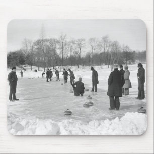 Krulla i Central Park NYC Musmatta