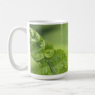 Krullande Fernlöv, grönska, suddig bakgrund Kaffemugg