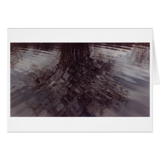 Krusar som korsar varandra i en damm hälsningskort