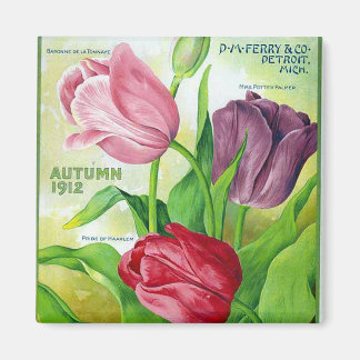 KRW Perry Lökar och Seeds 1912 Vintage Magnet