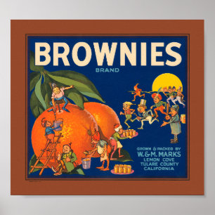 KRW Vintage Brownies Brand Oranges Fruit Låda Lab Poster