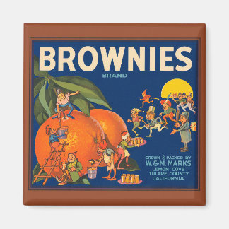 KRW Vintage Brownies Orange Fruit Låda Label Magn Magnet