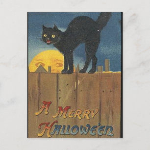 Krw-vintageHalloween svart katt Vykort