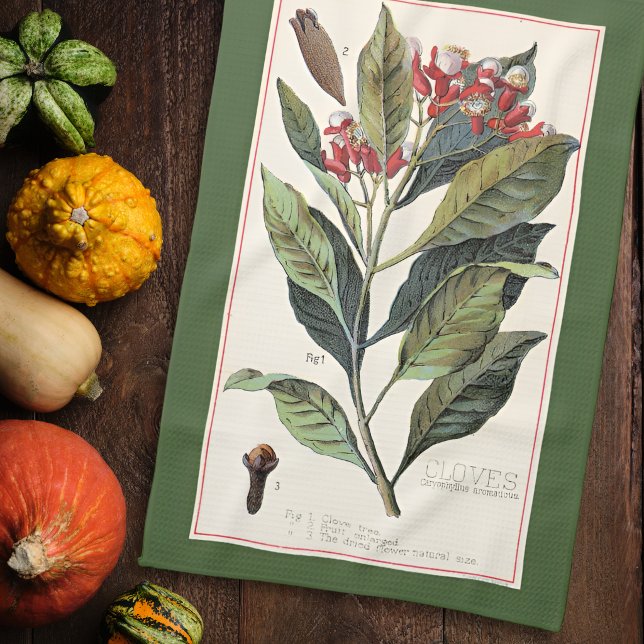 KRYDDNÄGEL - VINTAGE BOTANISK ILLUSTRATION KÖKSHANDDUK (Skapare uppladdad)