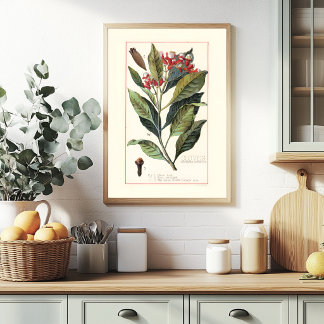 KRYDDNÄGEL - VINTAGE BOTANISK ILLUSTRATION POSTER