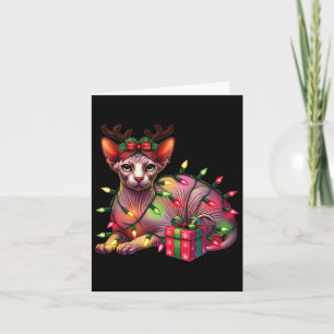 Kryddnejlikor Sphynx Katt Ren Horn Kort