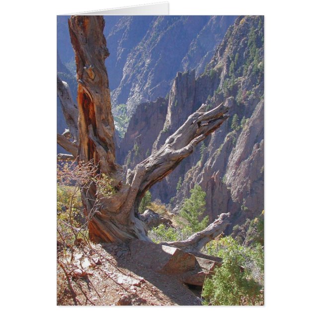 Kryddor av trä och sten hälsningskort (Framsidan)