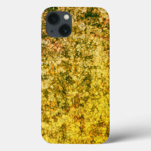 Krymp på en lätt fläckig  gult