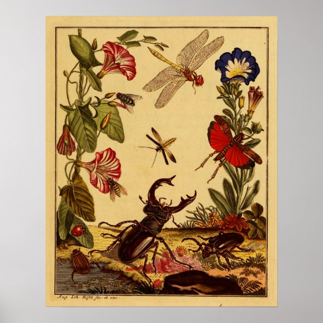 Kryp 1764 poster (Framsidan)