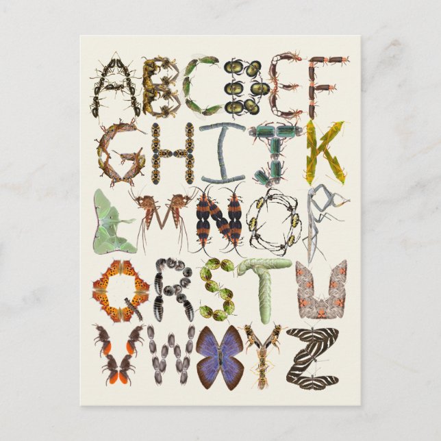 Kryp Alphabet - Insekt ThLED Kids Art Vykort (Framsida)