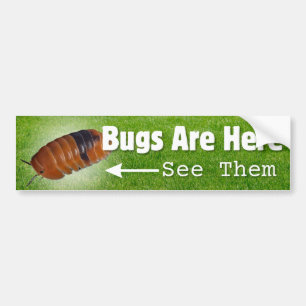 Kryp är här...Isopod Edition Bumper-etikett Bildekal