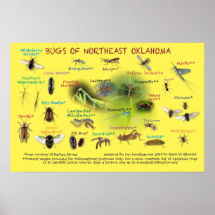 kryp av nordöstra Oklahoma poster 19p