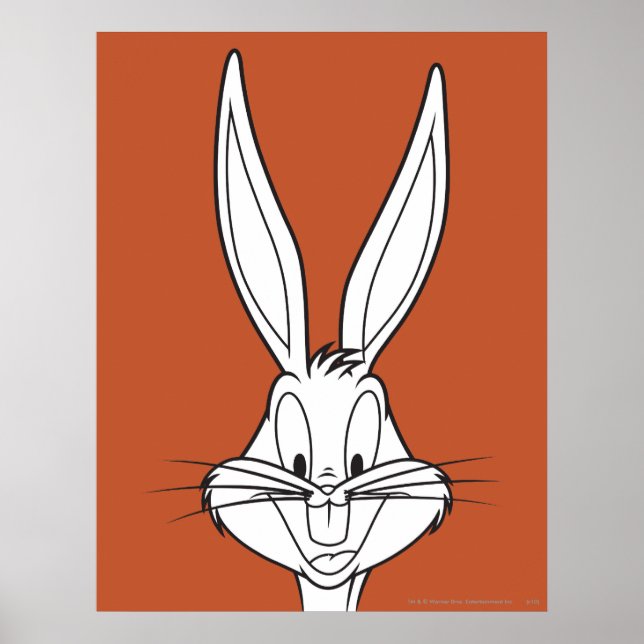 KRYP BUNNY™ Ansikte Smildrande Poster (Framsidan)