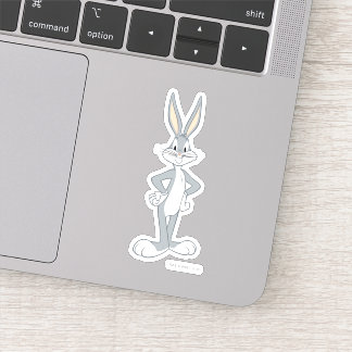 KRYP BUNNY™ | Bunny Stare Klistermärken