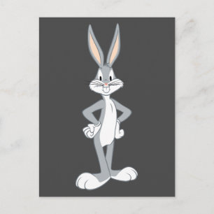 KRYP BUNNY™ Bunny Stare Vykort