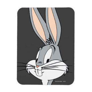 KRYP BUNNY™| Händer om Hips Magnet