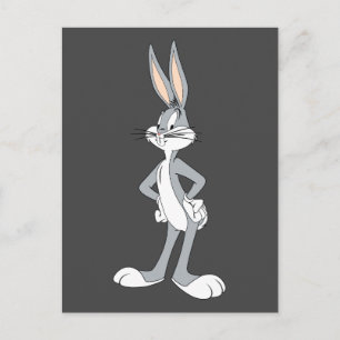 KRYP BUNNY™   Händer på Hips Vykort