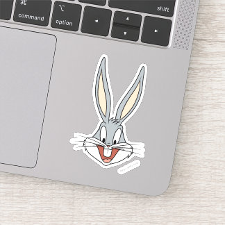 KRYP BUNNY™ Smildrande Ansikte Klistermärken