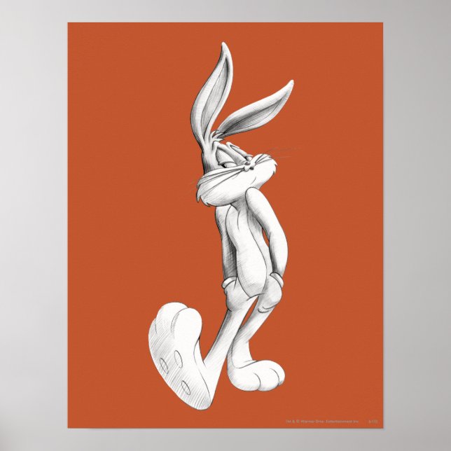 KRYP BUNNY™ Teckning 2 Poster (Framsidan)