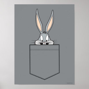 KRYP BUNNY™-testning ur fickan Poster