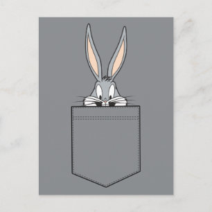 KRYP BUNNY™-testning ur fickan Vykort