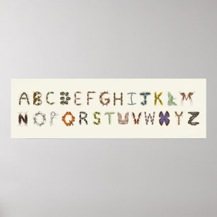 Kryp Decor Insekt eller Kryp Alphabet Education Poster