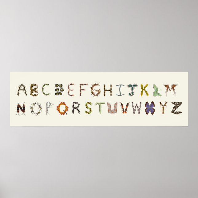 Kryp Decor Insekt eller Kryp Alphabet Education Poster (Framsidan)