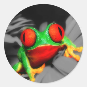 Kryp-Eyed Frog Runt Klistermärke