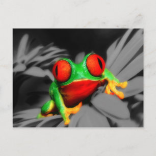 Kryp-Eyed Frog Vykort