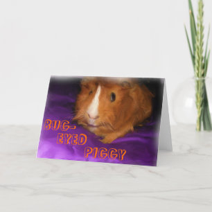 KRYP-EYED PIGGY Guinea-Gris-gratulationskort Kort