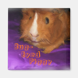 Kryp-Eyed Piggy Guinea Gris Magnet