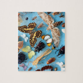 Kryp, fjärilar och malar pussel