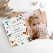 Kryp-foto för Nature Insekt