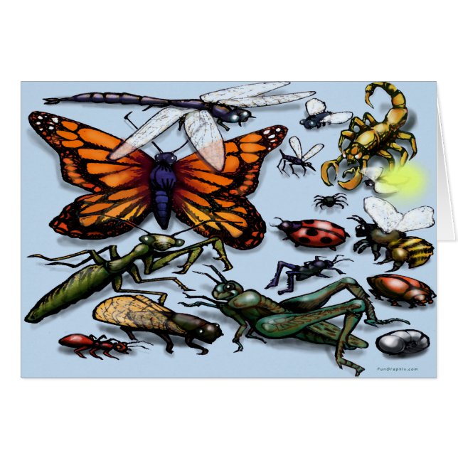 Kryp Hälsningskort (Framsidan Horizontal)