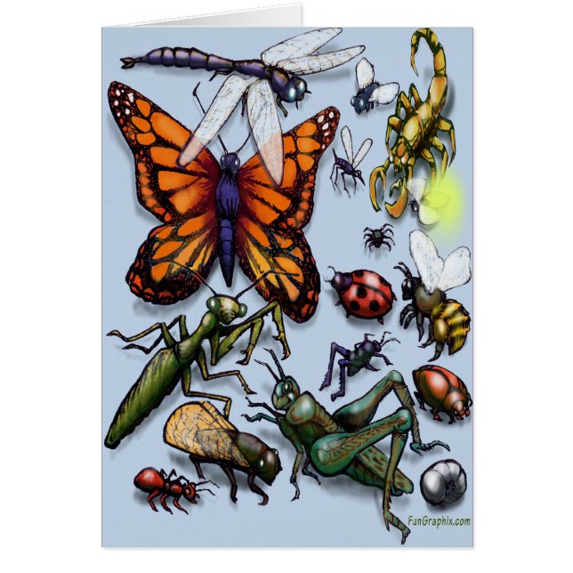 Kryp Hälsningskort (Framsidan)