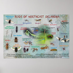 kryp i nordöstra Oklahoma poster 19