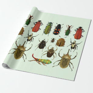 Kryp Insektrare Beetles Entomology willife Art Presentpapper