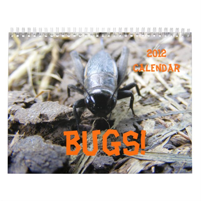KRYP! Kalender 2012 (Omslag)