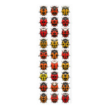 Kryp, Kryp, Kryp - Kryp Mönster