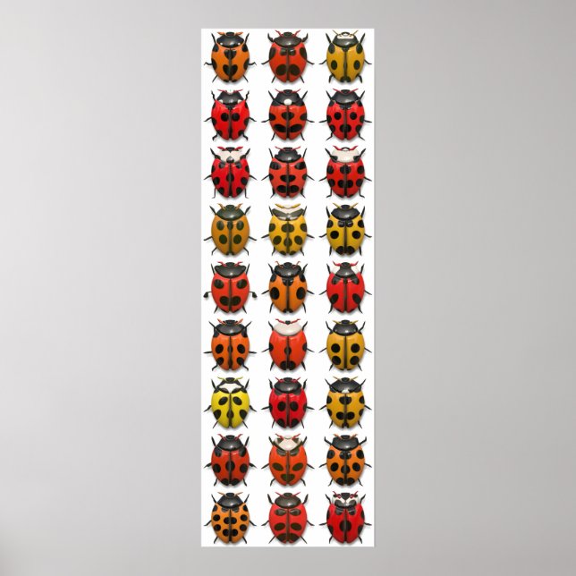 Kryp, Kryp, Kryp - Kryp Mönster Poster (Framsidan)