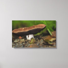 Kryp liv canvastryck