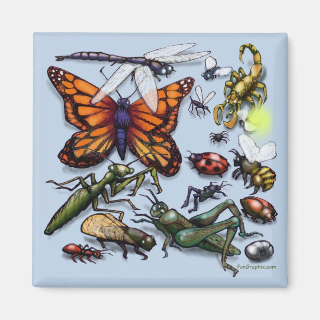 Kryp Magnet (Framsidan)