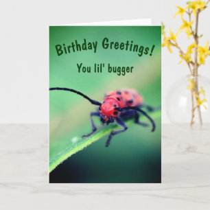 Kryp med Attityd Cute Birday Kort