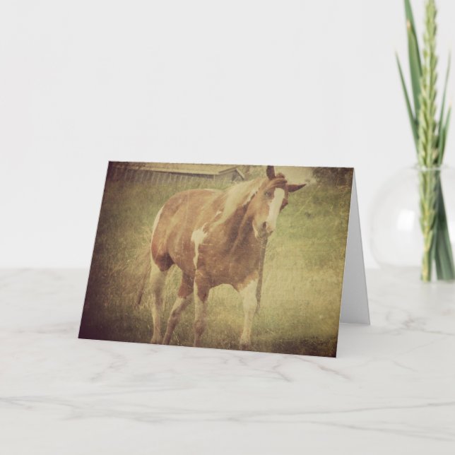 Kryp mig inte, måla horshakes huvud kort (Framsida)