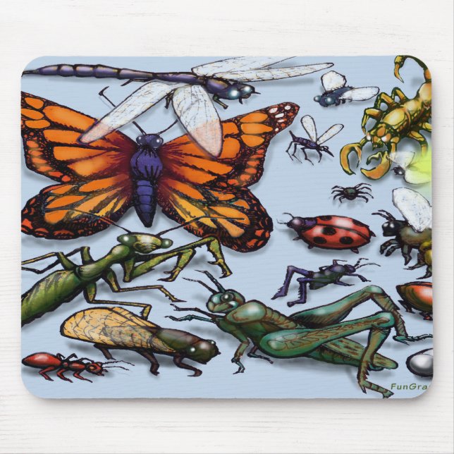 Kryp Musmatta (Framsidan)