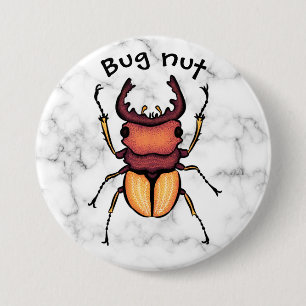 Kryp Nöt Beetle Insekt Art Entomologi Knapp