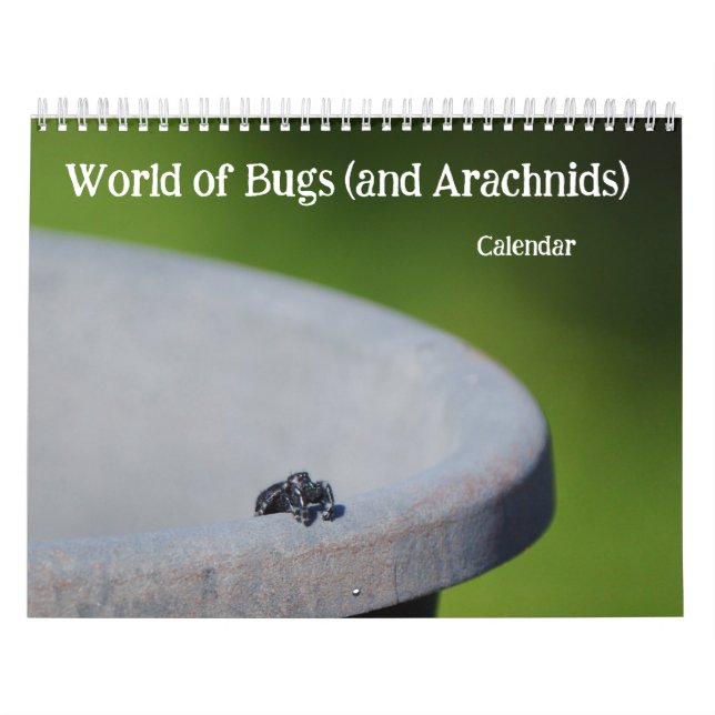 Kryp och Arachnids Creepy Crawly Kalender (Omslag)