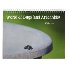 Kryp och Arachnids Creepy Crawly Kalender