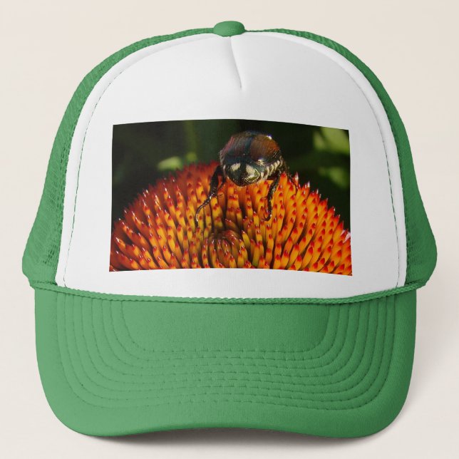 Kryp på Flower Keps (Framsida)