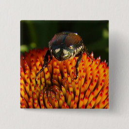 Kryp på Flower Knapp